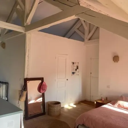 Grande Independante, Charme, Calme Sur Jardin, Centre, Acces Prive Par Escalier De L'immeuble, Sdb & Wc Prives, 10 Minutes Gare Et Palais Des Congres * 낭트