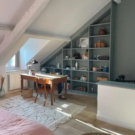 Apartman Grande Independante, Charme, Calme Sur Jardin, Centre, Acces Prive Par Escalier De L'immeuble, Sdb & Wc Prives, 10 Minutes Gare Et Palais Des Congres Nantes