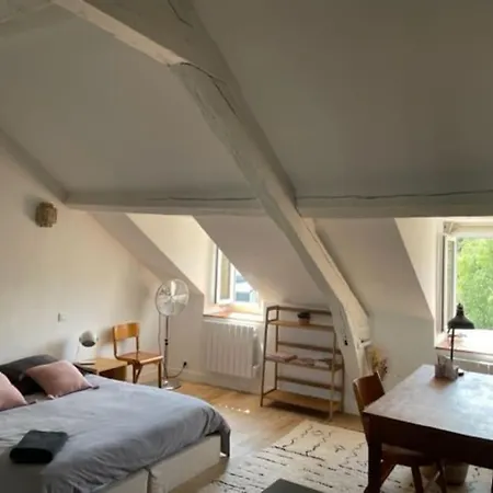 شقة Grande Independante, Charme, Calme Sur Jardin, Centre, Acces Prive Par Escalier De L'immeuble, Sdb & Wc Prives, 10 Minutes Gare Et Palais Des Congres *