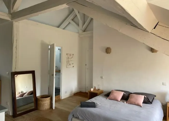 Grande Independante, Charme, Calme Sur Jardin, Centre, Acces Prive Par Escalier De L'immeuble, Sdb & Wc Prives, 10 Minutes Gare Et Palais Des Congres Nantes