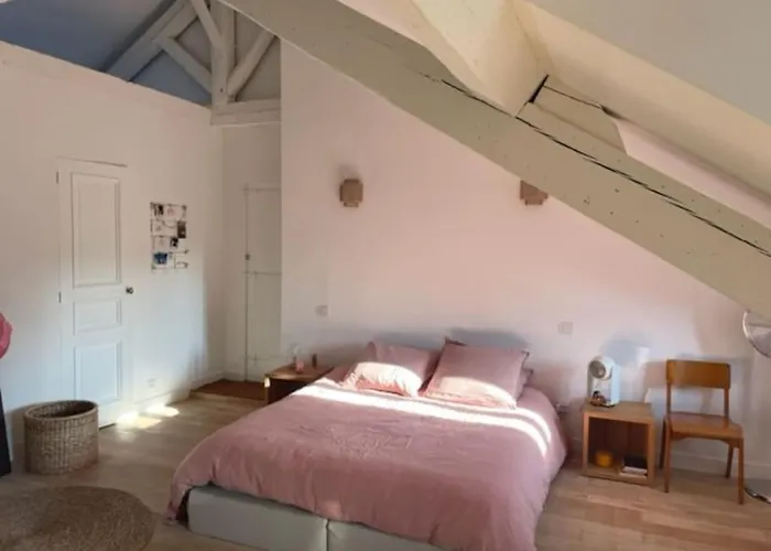 Grande Independante, Charme, Calme Sur Jardin, Centre, Acces Prive Par Escalier De L'immeuble, Sdb & Wc Prives, 10 Minutes Gare Et Palais Des Congres