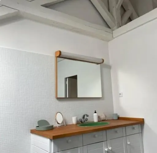 Grande Indépendante, Charme, Calme Sur Jardin, Centre, Accès Privé Par Escalier De L'immeuble, Sdb&wc Privés, 10 Minutes Gare Et Palais Des Congrès * Nantes