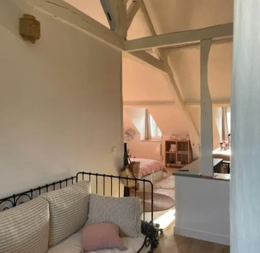 Grande Independante, Charme, Calme Sur Jardin, Centre, Acces Prive Par Escalier De L'immeuble, Sdb & Wc Prives, 10 Minutes Gare Et Palais Des Congres Nantes