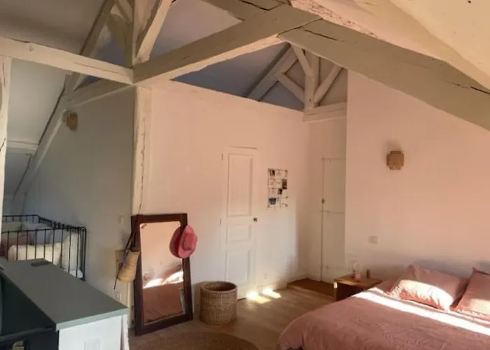 Grande Indépendante, Charme, Calme Sur Jardin, Centre, Accès Privé Par Escalier De L'immeuble, Sdb&wc Privés, 10 Minutes Gare Et Palais Des Congrès * Nantes