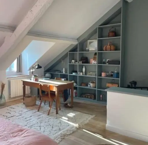 Appartement Grande Indépendante, Charme, Calme Sur Jardin, Centre, Accès Privé Par Escalier De L'immeuble, Sdb&wc Privés, 10 Minutes Gare Et Palais Des Congrès Nantes