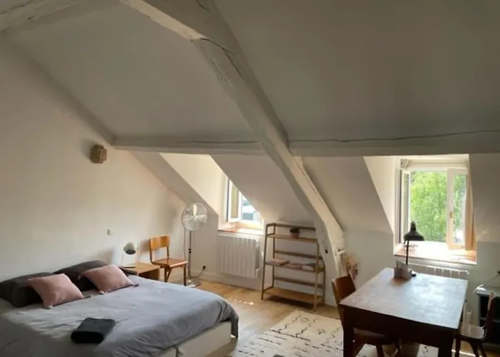 Appartement Grande Indépendante, Charme, Calme Sur Jardin, Centre, Accès Privé Par Escalier De L'immeuble, Sdb&wc Privés, 10 Minutes Gare Et Palais Des Congrès *