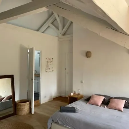 Grande Independante, Charme, Calme Sur Jardin, Centre, Acces Prive Par Escalier De L'immeuble, Sdb & Wc Prives, 10 Minutes Gare Et Palais Des Congres Ναντ