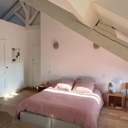 Grande Independante, Charme, Calme Sur Jardin, Centre, Acces Prive Par Escalier De L'immeuble, Sdb & Wc Prives, 10 Minutes Gare Et Palais Des Congres