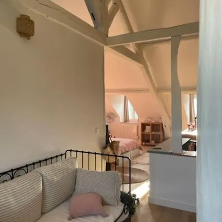 Grande Independante, Charme, Calme Sur Jardin, Centre, Acces Prive Par Escalier De L'immeuble, Sdb & Wc Prives, 10 Minutes Gare Et Palais Des Congres Ναντ