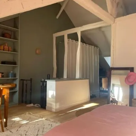 Grande Independante, Charme, Calme Sur Jardin, Centre, Acces Prive Par Escalier De L'immeuble, Sdb & Wc Prives, 10 Minutes Gare Et Palais Des Congres * Ναντ